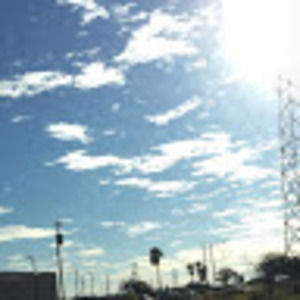 Meet your Posher, Autumn